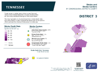 TN Congressional District 03 Stroke and Stroke Centers Map 118th Congress