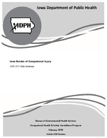 Iowa burden of occupational injury 20092013 data summary