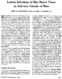 Latent infection of Rio Bravo virus in salivary glands of bats