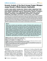 Genomic Analysis of the Basal Lineage Fungus Rhizopus oryzae Reveals a WholeGenome Duplication