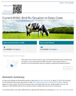Current H5N1 Bird Flu Situation in Dairy Cows