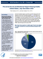 Perceived Social and Emotional Support Among Adults United States JulyDecember 2020