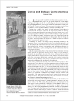 Optics and Biologic Connectedness
