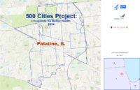 500 Cities Project Local Data for Better Health 2014 Palatine IL