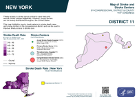NY Congressional District 11 Stroke and Stroke Centers Map 119th Congress
