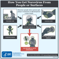 How You Get Norovirus From People or Surfaces 2018
