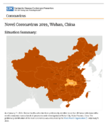 Novel coronavirus 2019 Wuhan China situation summary updated January 21 2020
