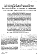 Activation of Androgen Response Element by Cadmium A Potential Mechanism for a Carcinogenic Effect of Cadmium in the Prostate