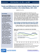Trends and Differences in Infant Mortality Rates in Rural and Metropolitan Counties in the United States 20212023