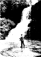 Public Health Reports  v 80 no 6 June 1965  masthead