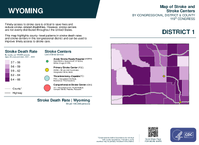 WY Congressional District 01 Stroke and Stroke Centers Map 119th Congress