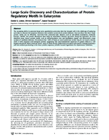 LargeScale Discovery and Characterization of Protein Regulatory Motifs in Eukaryotes