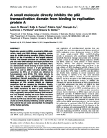A small molecule directly inhibits the p53 transactivation domain from binding to replication protein A