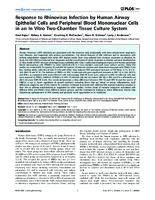 Response to Rhinovirus Infection by Human Airway Epithelial Cells and Peripheral Blood Mononuclear Cells in an In Vitro TwoChamber Tissue Culture System