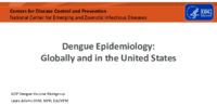 Dengue epidemiology  globally and in the United States