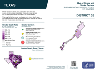 TX Congressional District 35 Stroke and Stroke Centers Map 119th Congress