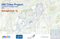 500 Cities Project Local Data for Better Health 2016 Bolingbrook IL