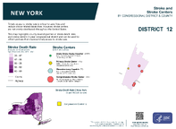 NY Congressional District 12 Stroke and Stroke Centers Map 118th Congress