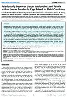Relationship between Serum Antibodies and Taenia solium Larvae Burden in Pigs Raised in Field Conditions