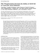 PKC Phosphorylation Increases the Ability of AFAP110 to CrossLink Action Filaments