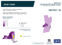 NY Congressional District 20 Stroke and Federally Qualified Health Centers Map 118th Congress