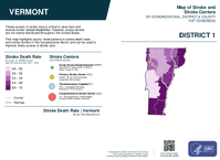 VT Congressional District 01 Stroke and Stroke Centers Map 119th Congress