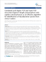 Combined rpoB duplex PCR and hsp65 PCR restriction fragment length polymorphism with capillary electrophoresis as an effective algorithm for identification of Mycobacterial species from clinical isolates