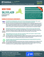 CDCs Investments to Combat Antibiotic Resistance Threats Nationwide New York Fiscal Year 2017 Fiscal Year 2017