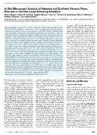 In Situ Microscopic Analysis of Asbestos and Synthetic Vitreous Fibers Retained in Hamster Lungs Following Inhalation