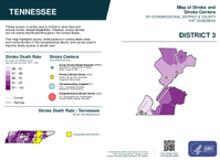 TN Congressional District 03 Stroke and Stroke Centers Map 119th Congress