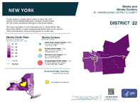 NY Congressional District 22 Stroke and Stroke Centers Map 118th Congress