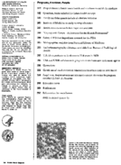 Public Health Rep  v 96 no 3  Masthead