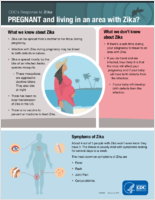PREGNANT and Living in an Area with Zika February 12 2016
