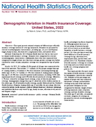 Demographic Variation in Health Insurance Coverage United States 2022