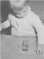 Public Health Report  v 71 no 5  frontispiece