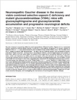 Neuronopathic Gaucher disease in the mouse viable combined selective saposin C deficiency and mutant glucocerebrosidase V394L mice with glucosylsphingosine and glucosylceramide accumulation and progressive neurological deficits