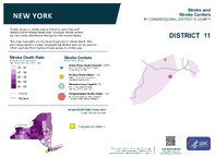 NY Congressional District 11 Stroke and Stroke Centers Map 118th Congress