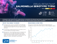 CDCs 2019 Antibiotic Resistance Threats Report Drugresistant Salmonella serotype Typhi