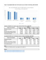 Supplemental figure 2 Ageadjusted death rates1 for the top five causes of death United States 2010 and 2014 Supplementary material for Potentially Preventable Deaths Among the Five Leading Causes of Death  United States 2010 and 2014