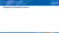 Hepatitis B andhepatitis B vaccine
