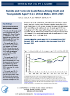 Suicide and Homicide Death Rates Among Youth and Young Adults Aged 1024 United States 20012021