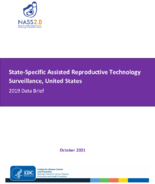 Assisted Reproductive Technology Surveillance State Specific Data Brief 2019