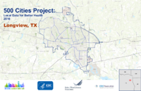 500 Cities Project Local Data for Better Health 2016 Longview TX