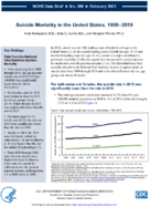 Suicide Mortality in the United States 19992019