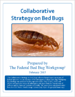 Collaborative strategy on bed bugs