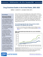Drug Overdose Deaths in the United States 20032023