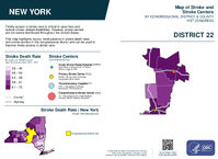 NY Congressional District 22 Stroke and Stroke Centers Map 119th Congress
