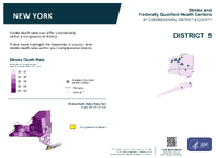 NY Congressional District 05 Stroke and Federally Qualified Health Centers Map 118th Congress