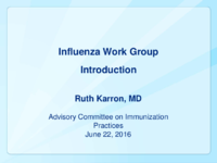 Influenza Work Group introduction