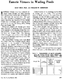 Enteric viruses in wading pools